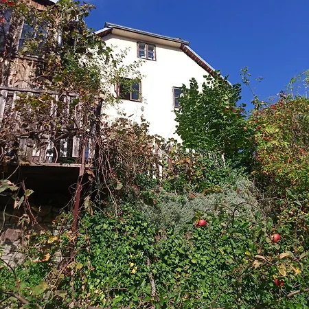 U Muzikanta Apartman