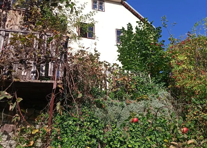U Muzikanta Apartamento